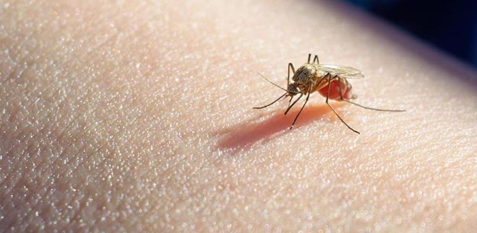prevención paludismo