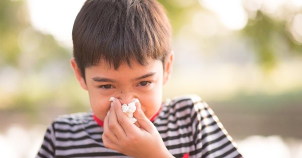 cuál es la alergia más común